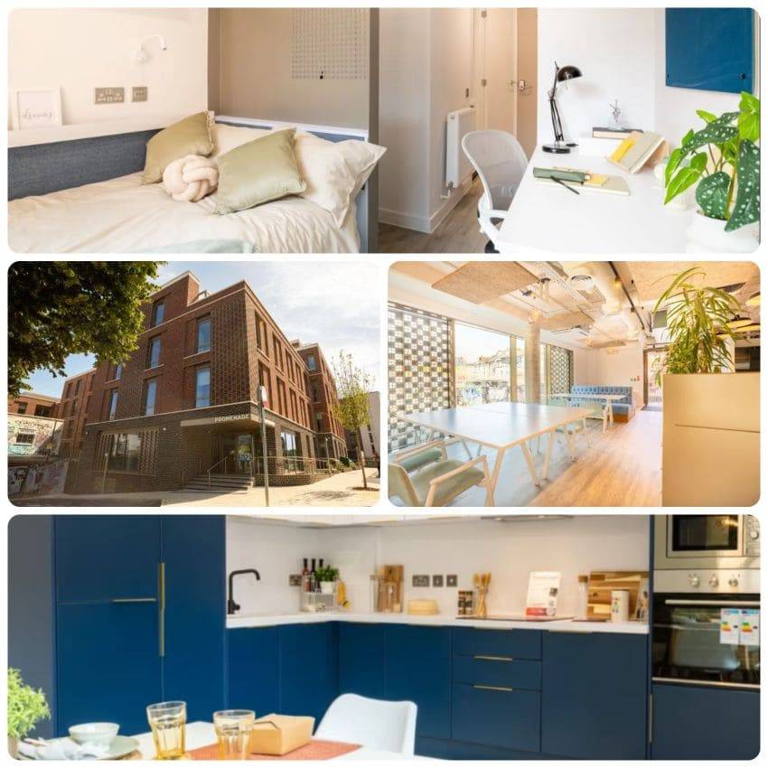 un collage, 4 fotos de una cocina , dormitorio y baño de una residencia de estudiantes en Brighton