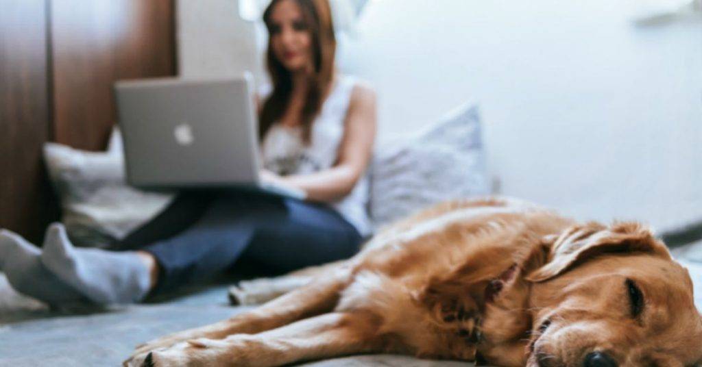 Imagen de clases de ingles online desde un dormitorio