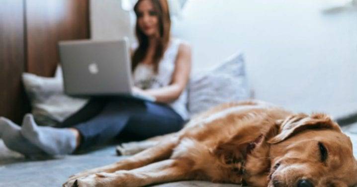 Una ñina estudiando online, sentada en su cama con su perro
