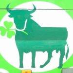 Cursos de inglés en Irlanda